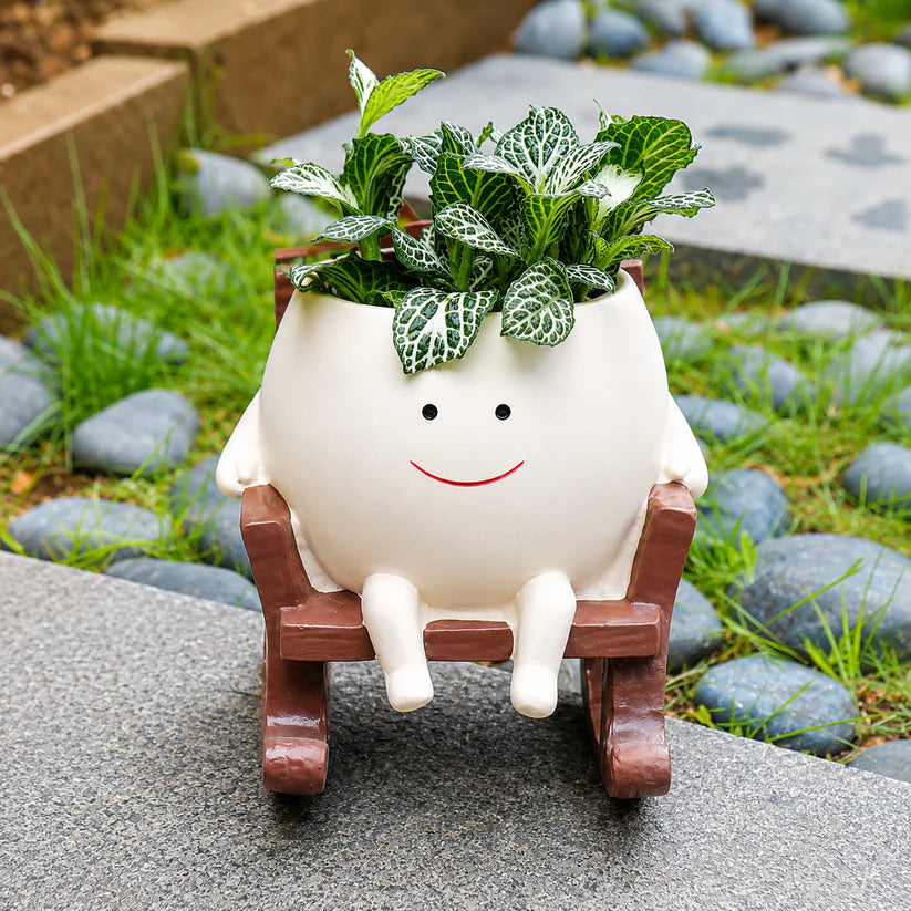 Rocky Pot™